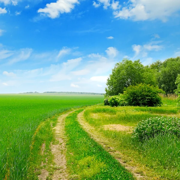 Field, country road and a blue sky Stock Picture