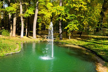 sonbahar park, bir su birikintisi ve küçük bir çeşme