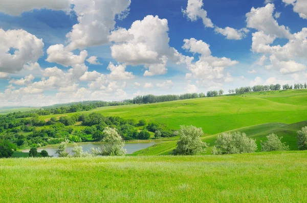 Malownicze zielone pole i błękitne niebo — Zdjęcie stockowe