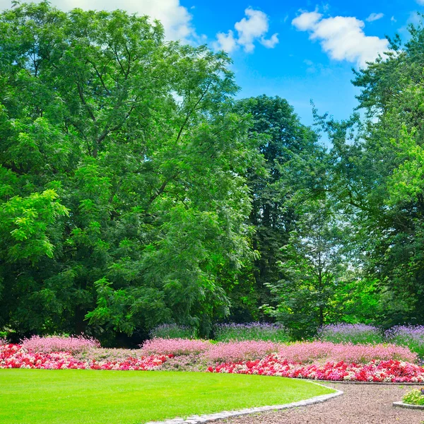 Güzel çiçek tarhları olan yaz parkı. — Stok fotoğraf