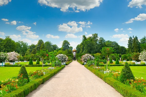 Letní park s krásnými záhony — Stock fotografie