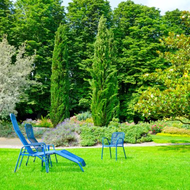 çim ve RECLINER güzel yaz park