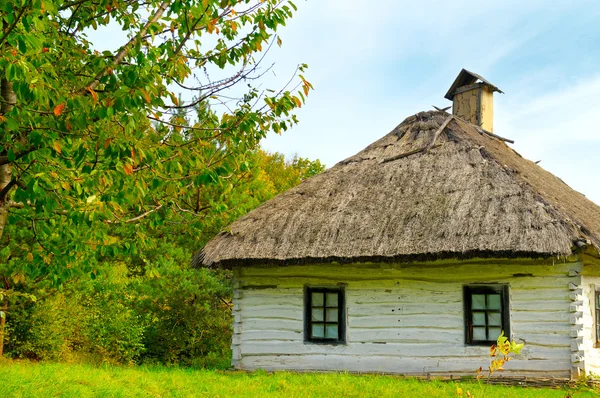 Старый дом с соломенной крышей — стоковое фото