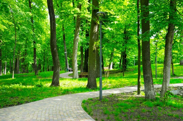 Sommaren park med promenadstråk — Stockfoto