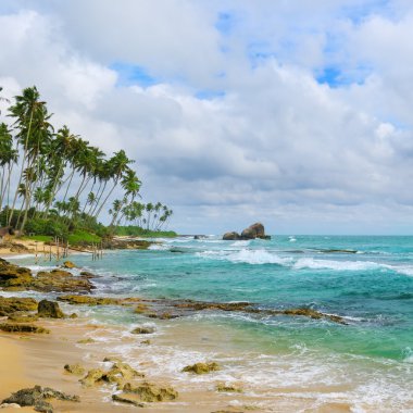 okyanus, pitoresk plaja ve mavi gökyüzü