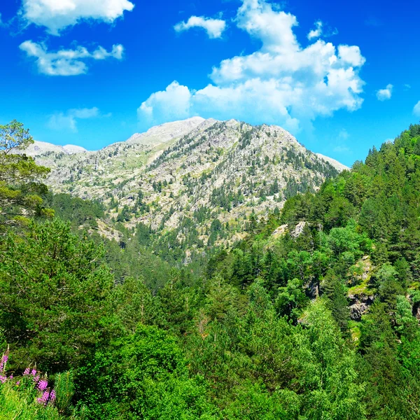 güzel dağ manzarası ve mavi gökyüzü