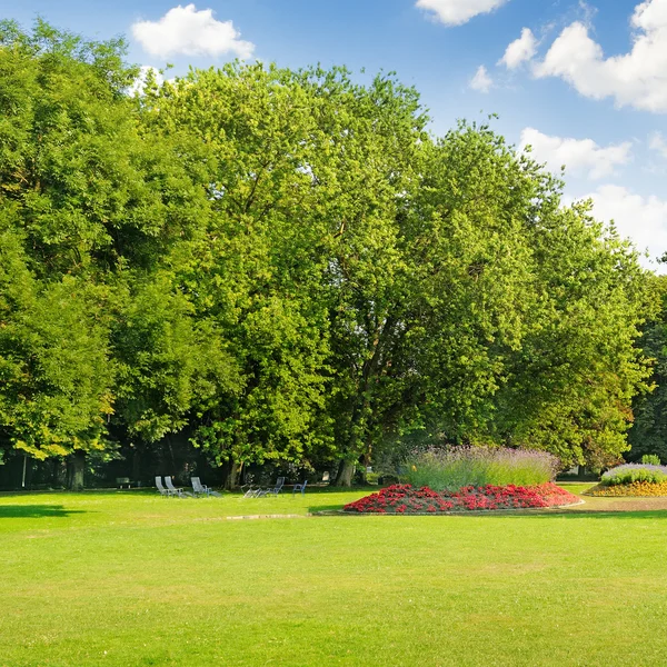 Sommerpark mit schönen Blumenbeeten — Stockfoto