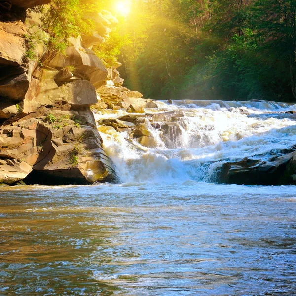 Gebirgsfluss, Wald und strahlende Sonne — Stockfoto
