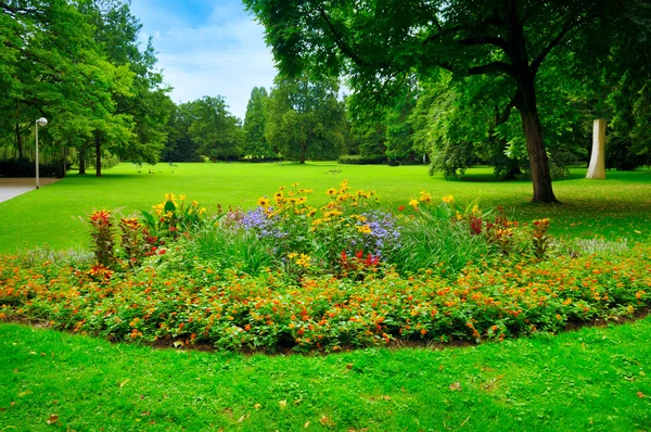 아름다운 꽃밭이 있는 여름 공원 — 스톡 사진