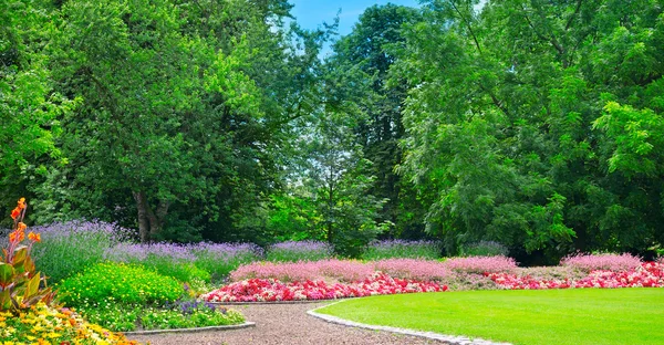 Summer park with beautiful flowerbeds — Stock Photo, Image