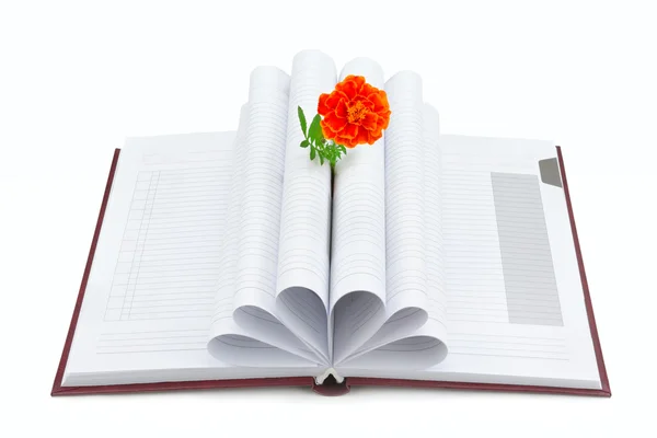 Βιβλίο και το λουλούδι που απομονώνονται σε λευκό φόντο — Φωτογραφία Αρχείου