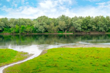 plain river with inflows and floodplain forest clipart