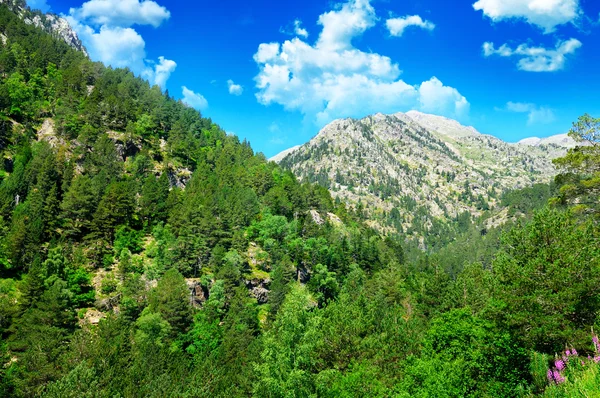 Schöne Berglandschaft und blauer Himmel — Stockfoto