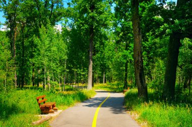 güzel yürüyüş yolları ile yaz park