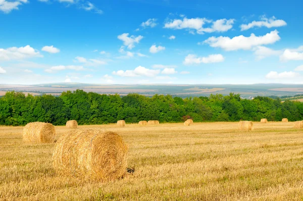 Straw bales on a wheat field and blue sky — Stock Photo, Image