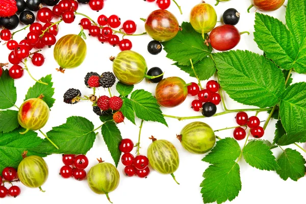 Berries black and red currants, gooseberries and blackberries is — Stock Photo, Image