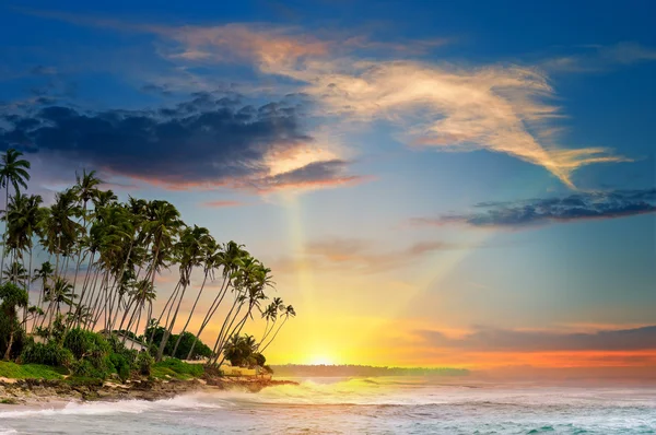 Océano, palmeras tropicales y una hermosa puesta de sol —  Fotos de Stock