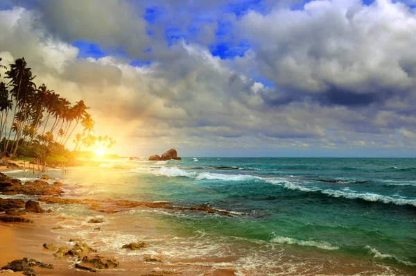 Океан, восход солнца и тропические пальмы на берегу — стоковое фото