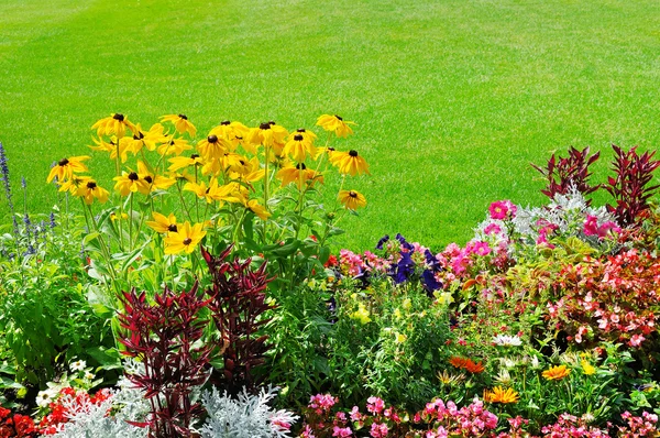 Lit de fleurs d'été et pelouse verte — Photo