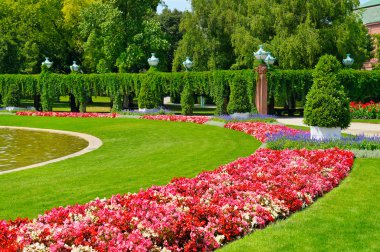 çiçek yatak ve yeşil çim ile yaz park