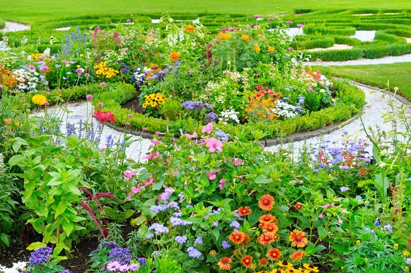 Letní květina posteli a zelený trávník — Stock fotografie