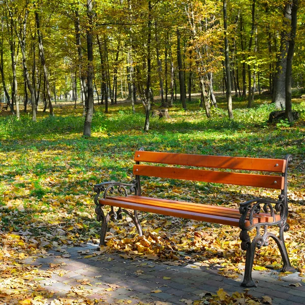 Beautiful autumn park with paths and benches — Stock Photo, Image