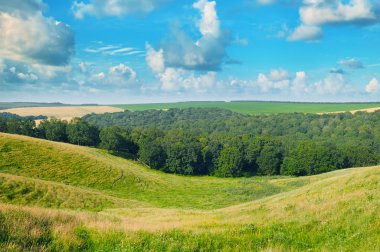 pitoresk tepeler, orman ve mavi gökyüzü
