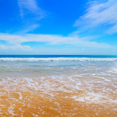 okyanus, kumlu plajı ve mavi gökyüzü