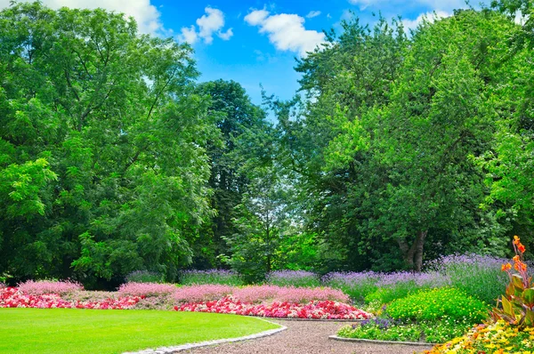 Summer park with beautiful flowerbeds — Stock Photo, Image