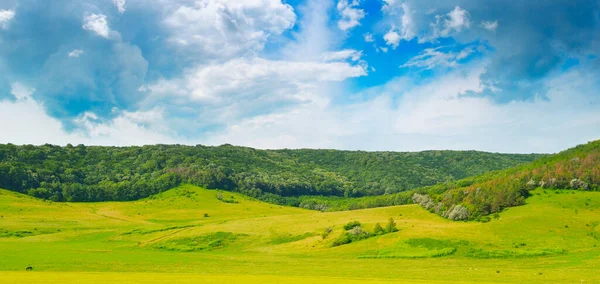 絵のように美しい丘陵地帯 緑の野 落葉樹林 — ストック写真