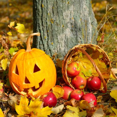 Sonbahar ormanında gülümseyen korkunç Cadılar Bayramı balkabağı.