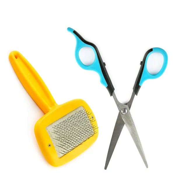 Scissors Comb Grooming Dog Hair Isolated White Background — Stock Photo, Image