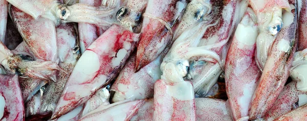 Squids Vismarkt Achtergrond Sri Lanka Brede Foto — Stockfoto