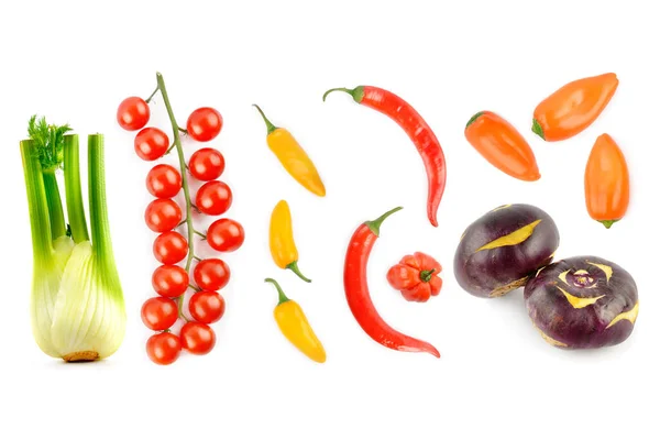 Cherry Rajčata Chilli Papričky Kedlubny Fenyklová Cibule Izolované Bílém Pozadí — Stock fotografie
