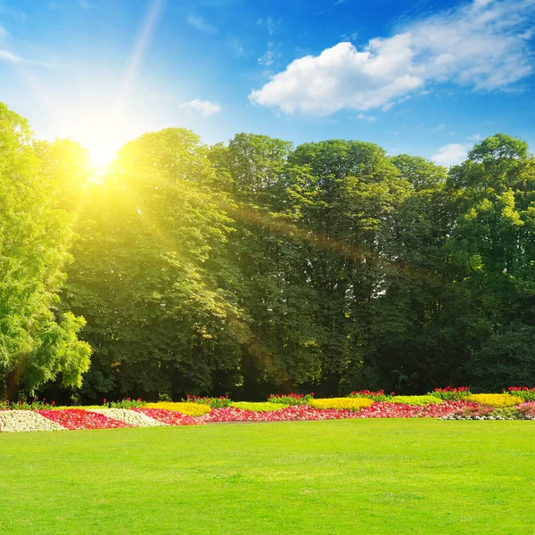 Garten Frühling Garten Landschaft Design Mit Hohen Und Niedrigen Sträuchern — Stockfoto