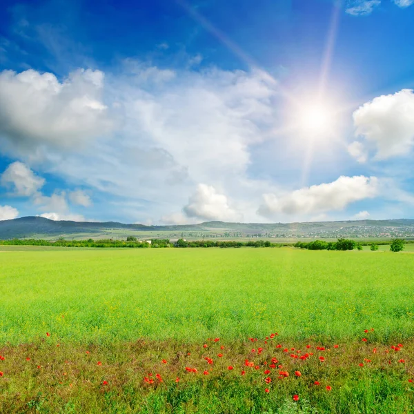 Gelbes Rapsfeld Und Sonne Blauen Himmel Schöne Ländliche Landschaft — Stockfoto