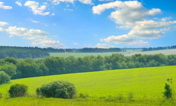 Champ Herbe Verte Sur Petites Collines Ciel Bleu Avec Nuages — Photo