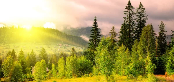 Bosque Cárpatos Verano Hermosa Puesta Sol Ardiente Amplia Foto Montañas — Foto de Stock