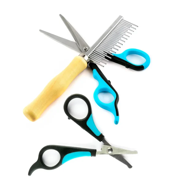 Scissors Comb Grooming Dog Hair Isolated White Background — Stock Photo, Image