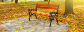 Nádherný podzimní park s lavičkou pro odpočinek. Široká fotografie.