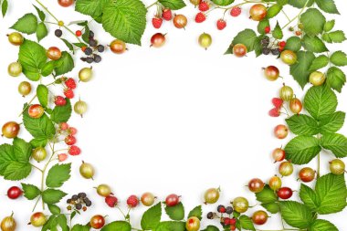 Beyaz arka planda izole edilmiş çeşitli taze böğürtlenler. Metin için boş alan.