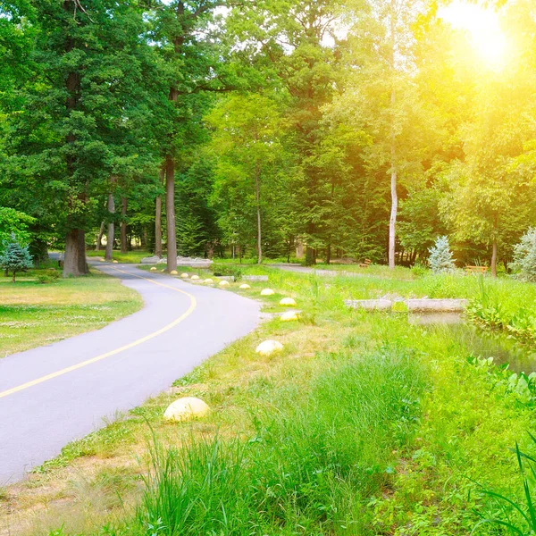 Gartengestaltung Der Weg Garten — Stockfoto