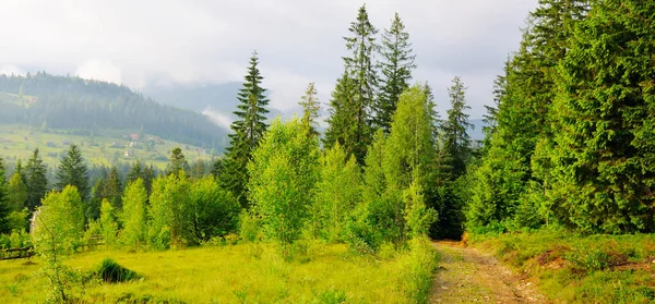Schöne Berglandschaft Sommertag Den Bergen Ukrainische Karpaten Großes Foto — Stockfoto