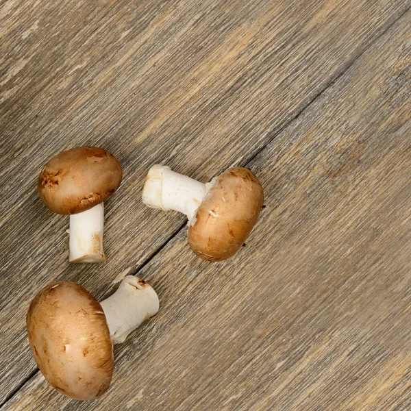 Three Champignons Wooden Table Place Your Text — Fotografia de Stock