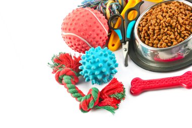 Hayvan aksesuarları konsepti. İzole edilmiş beyaz arka planda evcil hayvan için kuru yiyecek ve plastik oyuncaklar. Metin için boş alan.