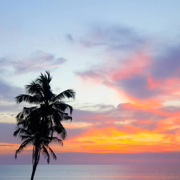 ヤシの木のシルエット熱帯の海のビーチで美しい夕日 休日の旅行の背景リラックスした時間 — ストック写真