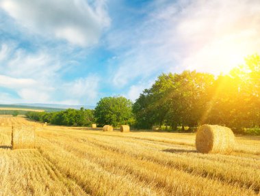 Sarı bir hasat tarlasında saman yığınları ve güneş.