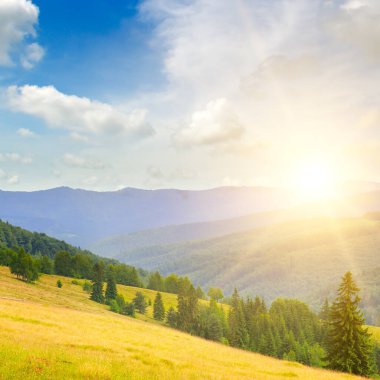 Karpat dağlarında muhteşem bir gün doğumu. Çimenli çayırlar ve orman tepeleri. Konsept - tatil ve seyahat.