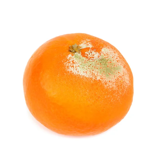 Eine Faule Mandarine Isoliert Auf Weißem Hintergrund — Stockfoto