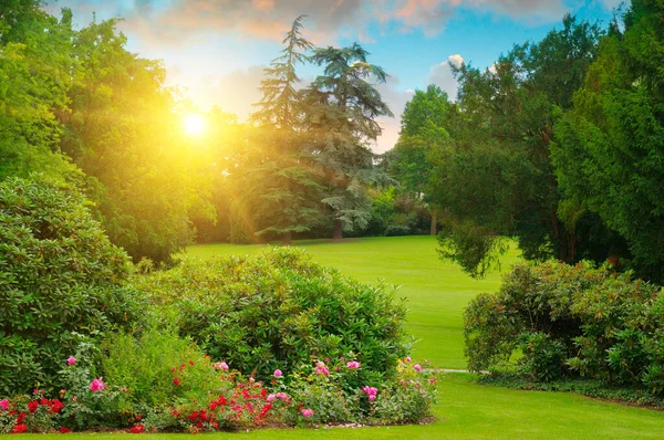 Przytulny Park Łóżkiem Kwiatowym Zielonymi Trawnikami Letni Wieczór Zachód Słońca — Zdjęcie stockowe